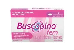 Buscapina Fem Comp. X 6